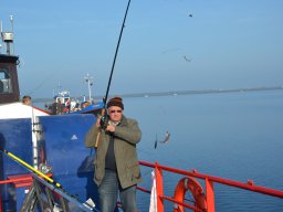 Competities HSV Alfheim